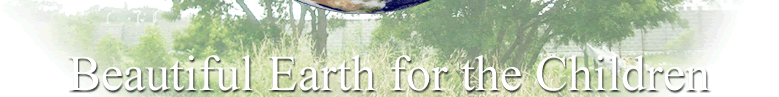 Beatiful Earth for the Children