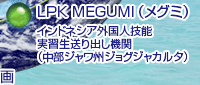 LPK MEGUMI
